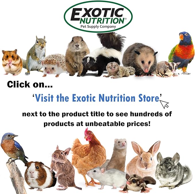Dried Mealworms - 100% Natural, Non-GMO, High Protein, Bulk Insect Treat for Chicken, Laying Hen, Chick, Wild Bird, Bluebird, Duck, Goose, Turkey, Chickadee, Titmice, Wren, Reptile, Fish (22 lb.)