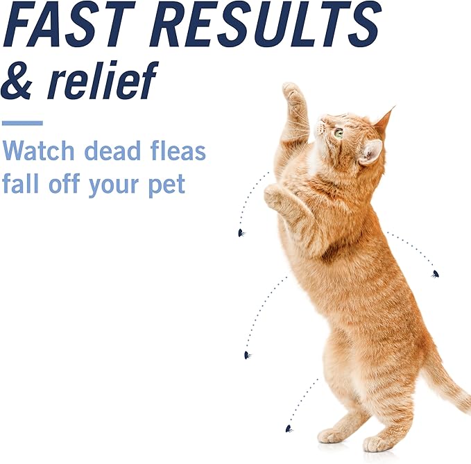 PetArmor CAPACTION (nitenpyram) Oral Flea Treatment for (Cat 6 Doses) + Bonus PetArmor Plus Flea and Tick Treatment & Prevention for Cats Over 1.5 lbs (1 Dose)