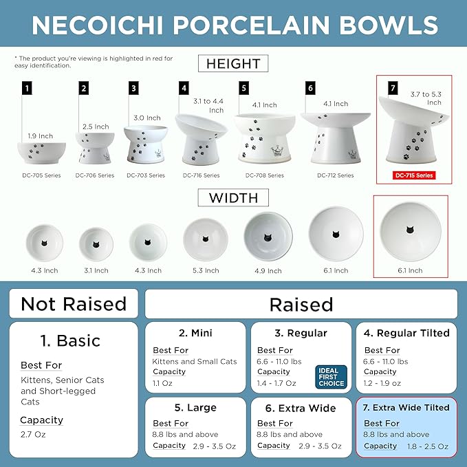 Necoichi Raised Cat Food Bowl – Ceramic Elevated 15° Tilted Bowl for Whisker Fatigue, Dishwasher & Microwave Safe, Non-Slip Anti-Vomiting Ergonomic Design (Sakura Floral, Extra Wide, 1.5-Cup Capacity)