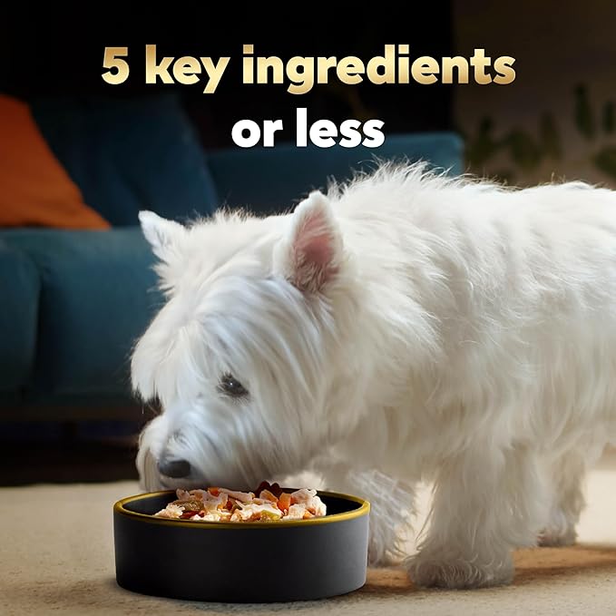 Cesar Simply Crafted Adult Wet Dog Food Toppers for Dry Food, Chicken, 1.3 oz Tubs, 24 Count