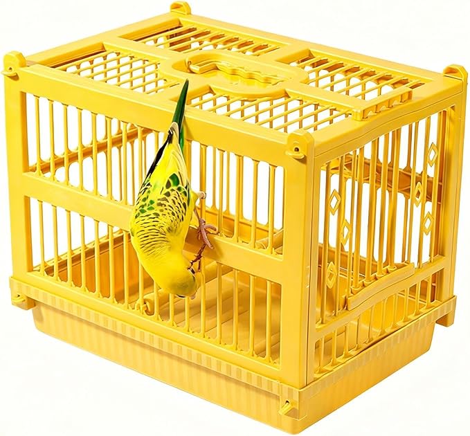 Parrot Travel Cage - Lightweight Small Bird Carrier, Includes Standing Perch, Secure Conure Transport Box, Easy-Clean Indoor Home Crate, Short-Term Vet Visit Unit | for Cockatiel Finch Lovebird
