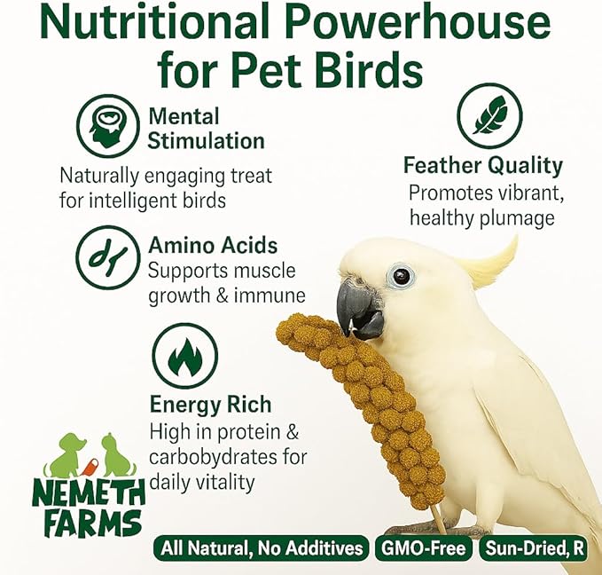 Nemeth Farms 1lb Premium Spray Millet for Exotic Birds – Grown in The USA – 100% Natural & Non‑GMO Bird Treat – Sun‑Dried Millet for Parakeets, Conures, Cockatiels, Parrots & Budgies
