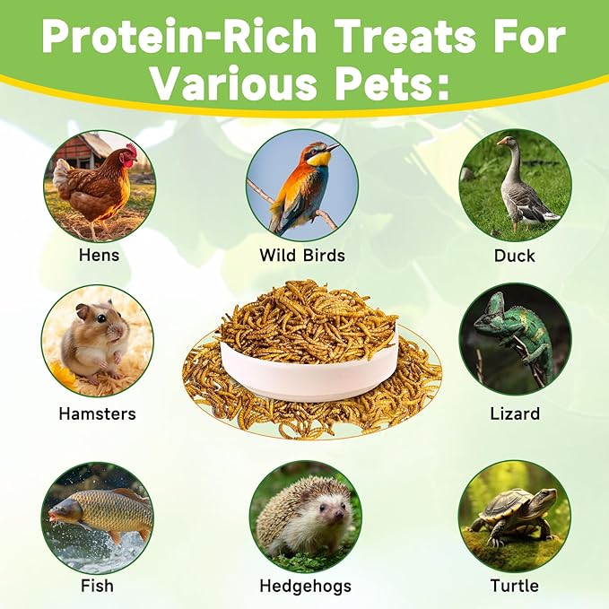 500g Dried Mealworms Treat for Chicken, 100% Natural Non-GMO High Protein Organic Chicken Feed for Birds, Ducks, Layer Hens
