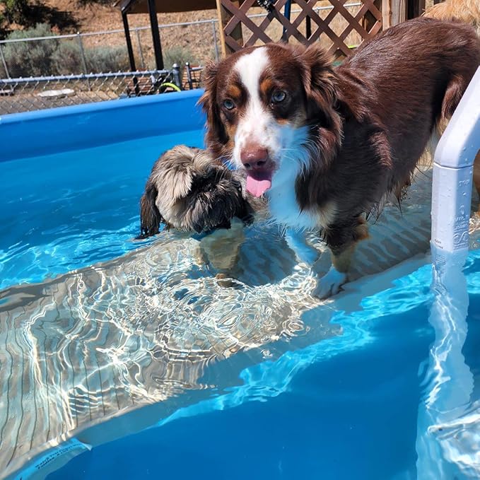 PetStep Dog Ramp for Pools - (Standard Legs, Khaki/Beige)- Small and Large Dog Pool Ramp for Above-Ground and In-Ground Pools