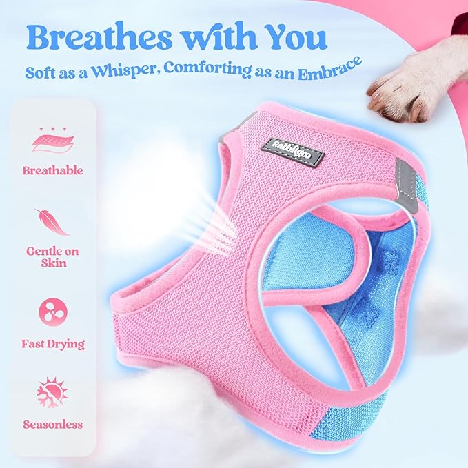 rabbitgoo Dog Harness Small Sized and Leash Set, Step in Soft Light Puppy Vest, Breathable Mesh Pet Harness, Reflective for Safe Easy Walking, Blue & Light Pink M