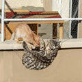 Balcony Screen for Pets,Cat Netting Balcony,Anti-Fall Pet Mesh Fence,Bite Tear Resistant,Dogs&Cat Safety Net for Balcony, Window, Stair, Patio,Anti Bird Netting for Garden/Balcony (6.56*10 ft)