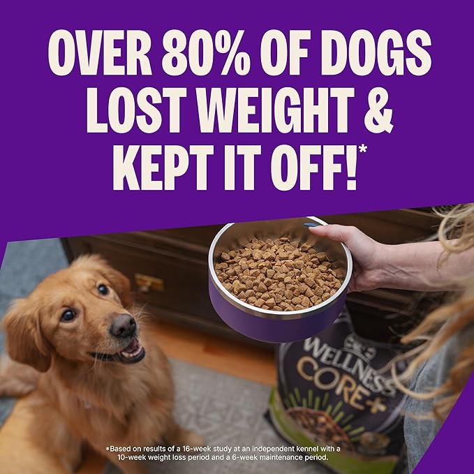 Wellness CORE Healthy Weight Adult Dry Dog Food, Grain Free Kibble, Natural, High Protein, Turkey and Chicken Recipe, 4 lb Bag