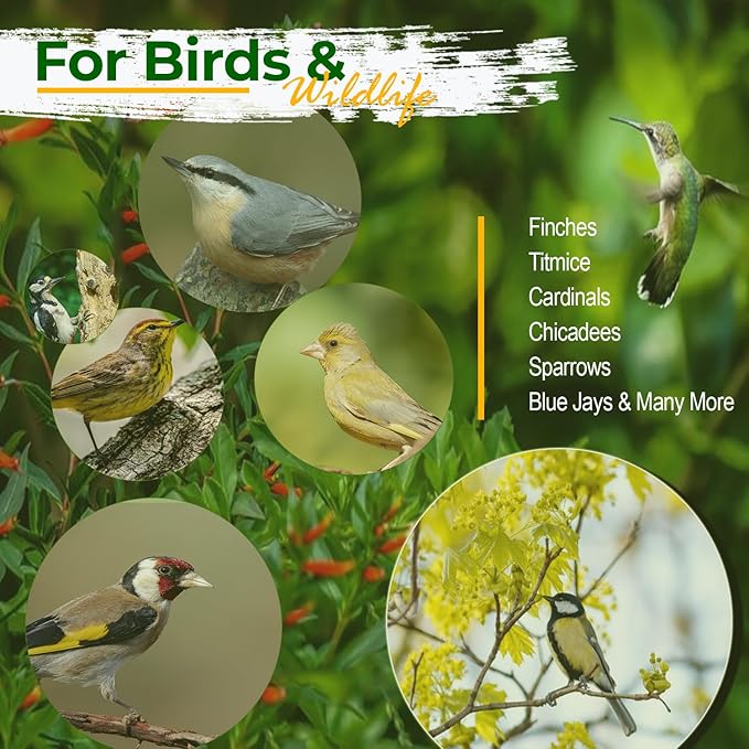 Old Potters Wildlife Sunflower Hearts & Chips for Bird Feeding and Wildlife Bird attracting, Non-GMO and USA Grown, 25 lbs