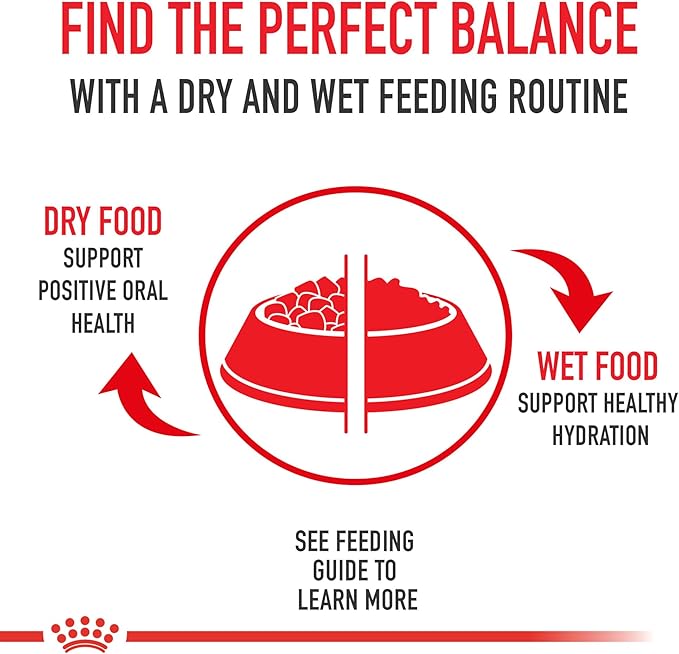 Royal Canin Feline Health Nutrition Kitten Dry Cat Food, 7 lb Bag