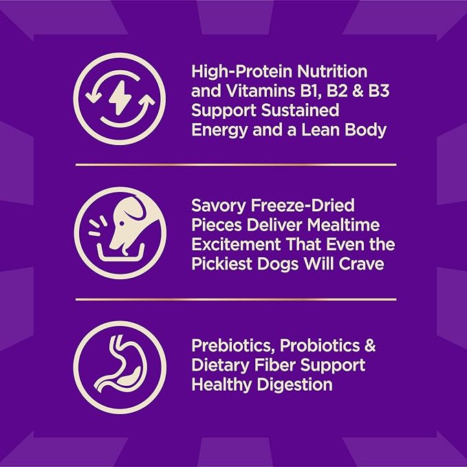 Wellness CORE+ Adult Dry Dog Food with Freeze Dried Pieces, Grain Free Kibble+, Natural, High Protein, Turkey and Chicken Recipe, 10 lb Bag