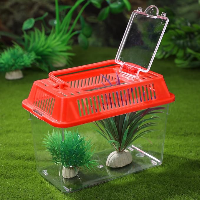 Gatuida Mini Handheld Plastic Fish Tank for Turtles and Easy to Clean and Portable Aquarium Random Lid for Travel and Outdoor Use