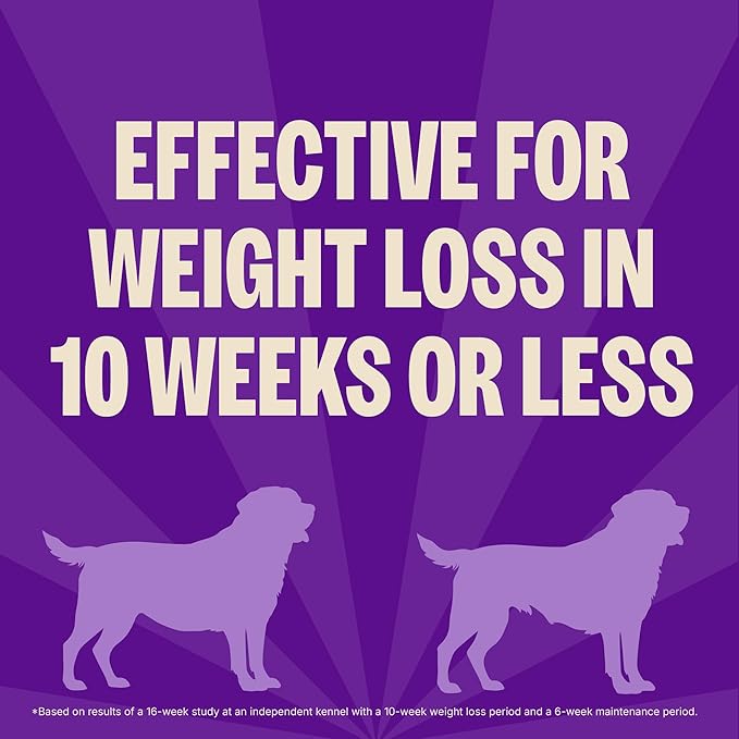 Wellness CORE Healthy Weight Adult Dry Dog Food, Grain Free Kibble, Natural, High Protein, Turkey and Chicken Recipe, 12 lb Bag