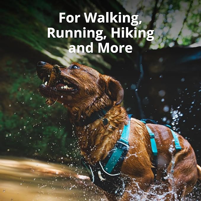 Ruffwear, Flagline Dog Harness, Lightweight and Reflective, No Pull Dog Lift Harness for Hiking, Running and Everyday Use, Lichen Green, X-Small