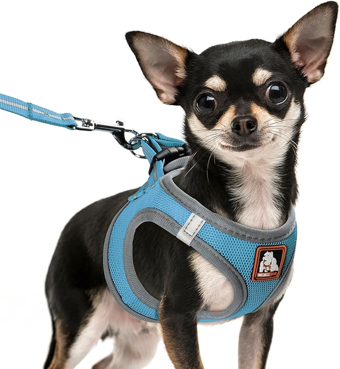 Dog Harness Medium Sized Dogs, Puppy Harness and Leash Set for Training, Running, Walking, Suitable for Small and Medium Dog Vest, Blue, L