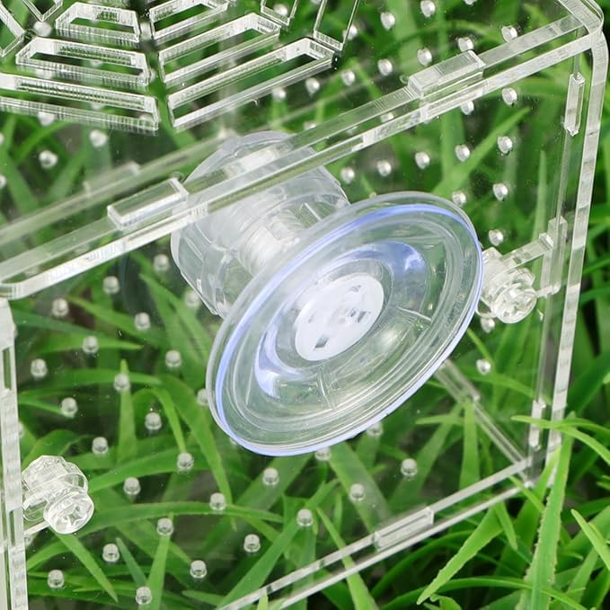 HOMSFOU Acrylic Fish Breeding Tank Box with 2mm Round Hole Suction Cup 10x10x10cm Isolation Aquarium Hatchery Incubator for Fish Fry and Betta Breeders