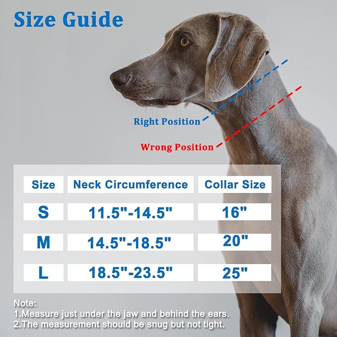Mayerzon Martingale Collar for Dogs, No Pull Dog Collar with Reflective Strip for Small Medium Large Dogs, Anti Pulling Dog Collar with Buckle for Walking Training, Safe for Night Walk(Blue, S)