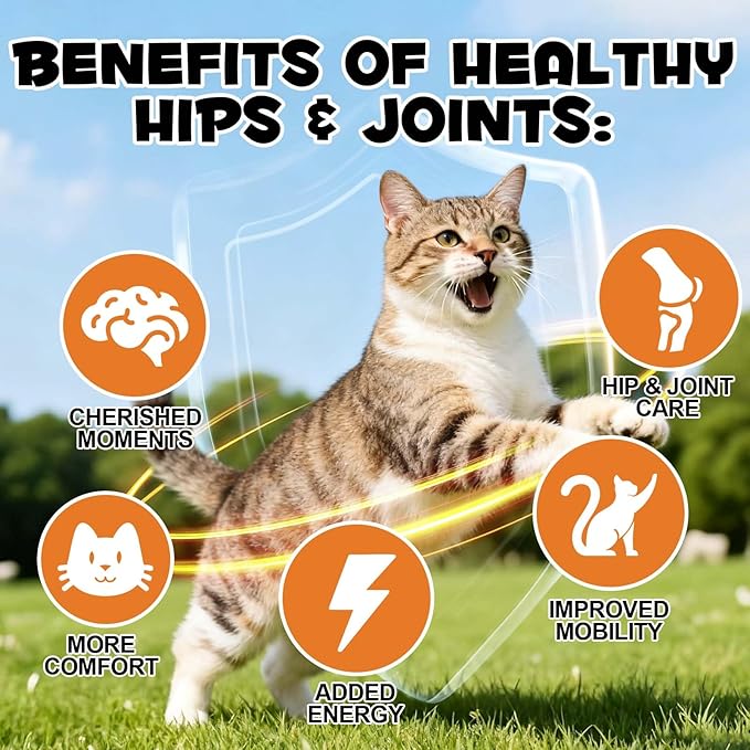 Cat Hip & Joint Health Chews – Cat Joint Support Supplement with Glucosamine, Green Lipped Mussel & Omega-3 – Supports Mobility, Flexibility & Cartilage Function (Chicken Flavor, 30-Day Supply)
