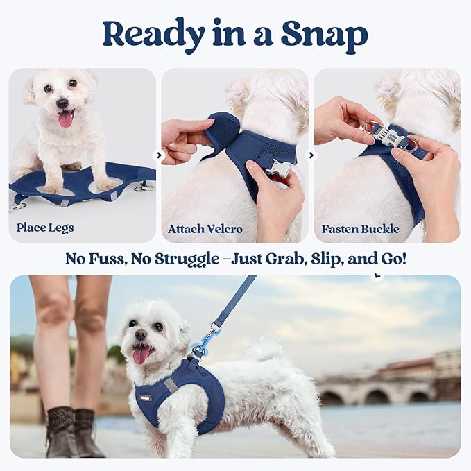 rabbitgoo Dog Harness Small Sized and Leash Set, Step in Soft Light Puppy Vest, Breathable Mesh Pet Harness, Reflective for Safe Outdoor Walking, Navy Blue S