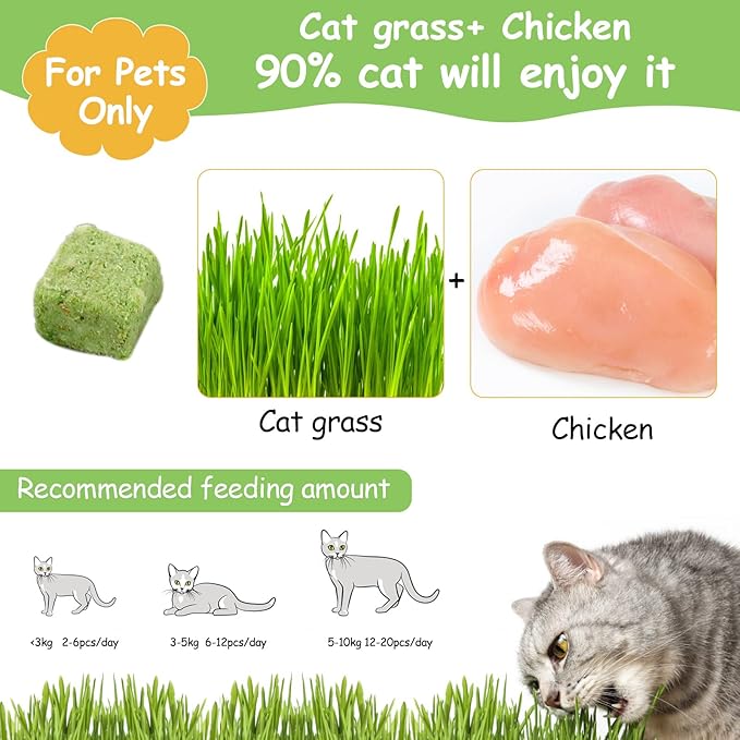 HavenJanny 60g Cat Grass Treats for Indoor Cats, Freezed Dried Cat Grass Teething Stick Snacks for Cats, Edible Feline Chew Toys for Hairball Control and Oral Health