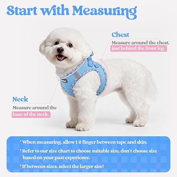 rabbitgoo Dog Harness Small Sized and Leash Set, Step in Soft Light Puppy Vest, Breathable Mesh Pet Harness, Reflective for Safe Easy Walking, Blue & Plaid Trim XXS