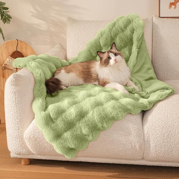 Self-Warming Cat Blanket, Dual-Side Plush Sherpa Throw with Anti-Static, Snuggle Mat for Kittens & Cats, Cozy Bed Topper for Windowsills & Couches, Machine Washable & Dryable, 21x18 Inch Green