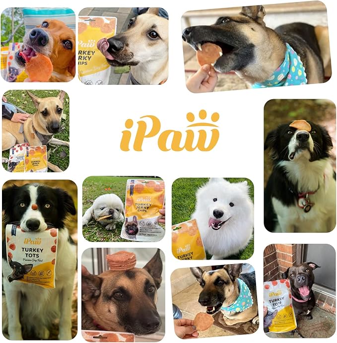 iPaw 5 Stock-Up Combo Chicken Tots Dog Treats for Puppy Training, All Natural Human Grade Dog Treat, Hypoallergenic, Easy to Digest (Chicken Tots), 5 Packs