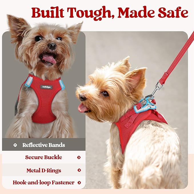 rabbitgoo Dog Harness Small Sized and Leash Set, Step in Soft Light Puppy Vest, Breathable Mesh Pet Harness, Reflective for Outdoor Safe Walking, Red XXXS
