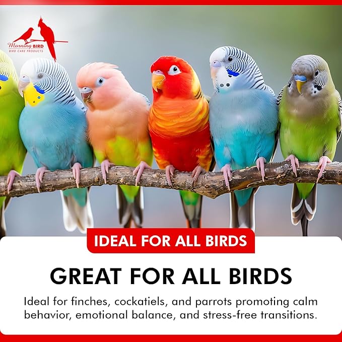 Morning Bird Mood Food 2 oz – Natural Calming Supplement for Birds – Non-Sedating Formula – Helps Reduce Stress, Aggression & Feather Plucking – Gentle Support with Amino Acids & B Vitamins