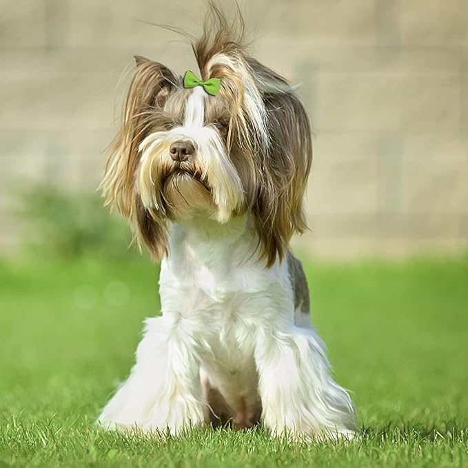 Puppy Dogs Hair Barrettes Bows with Rubber Bands,Hair Accessories Bow Pet Grooming Cute Pet Small Hair Bowkno