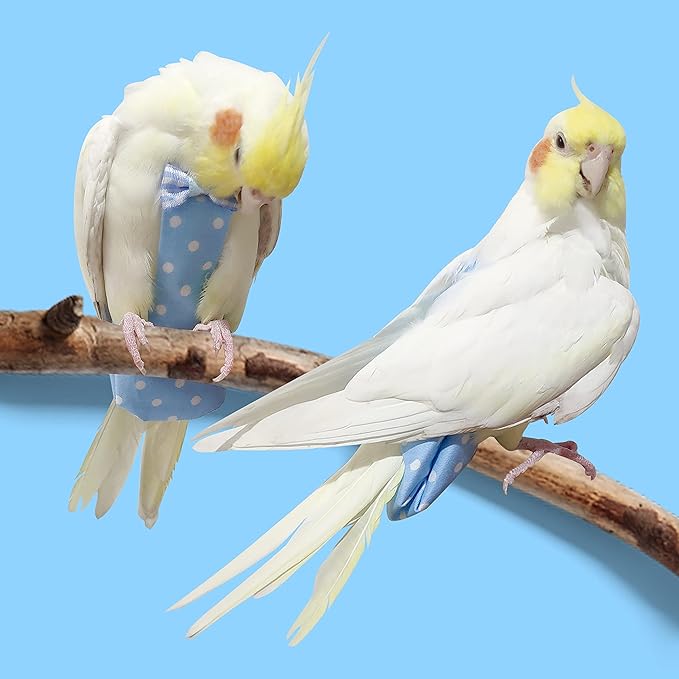 VANFAVORI Bird Diaper Harness Flight Suit Clothes with 80 Inch Flying Leash Rope for Parrots Conure Cockatiel Pet Birds Weight 80-105 Grams, M Size Blue, Including A Cotton Pad