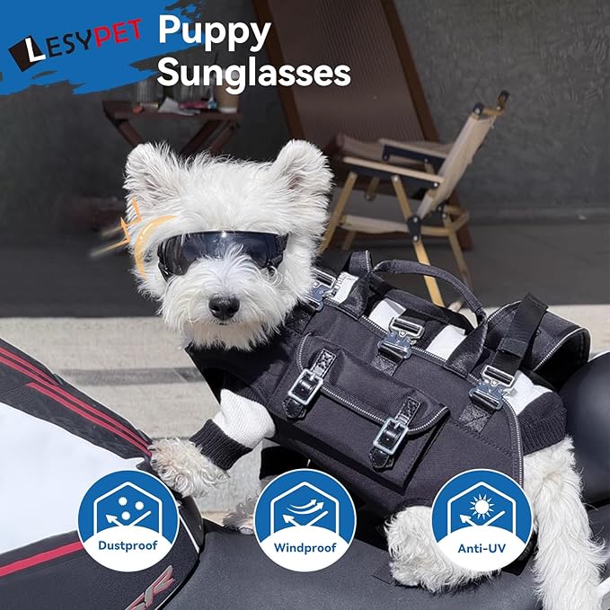 LESYPET Dog Sunglasses for Small Breed, UV Wind Dust Protection Dog Goggles for Pet Outdoor Driving Riding, Pet Glasses Eye Wear with Adjustable Strap, Blue