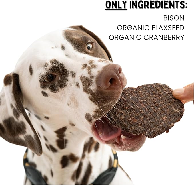 Winnie Lou Bison Burger Jerky Dog Treats – Limited Ingredient, Human Grade, Training Treats for Small, Medium & Large Dogs, Made in USA (1 Pack)