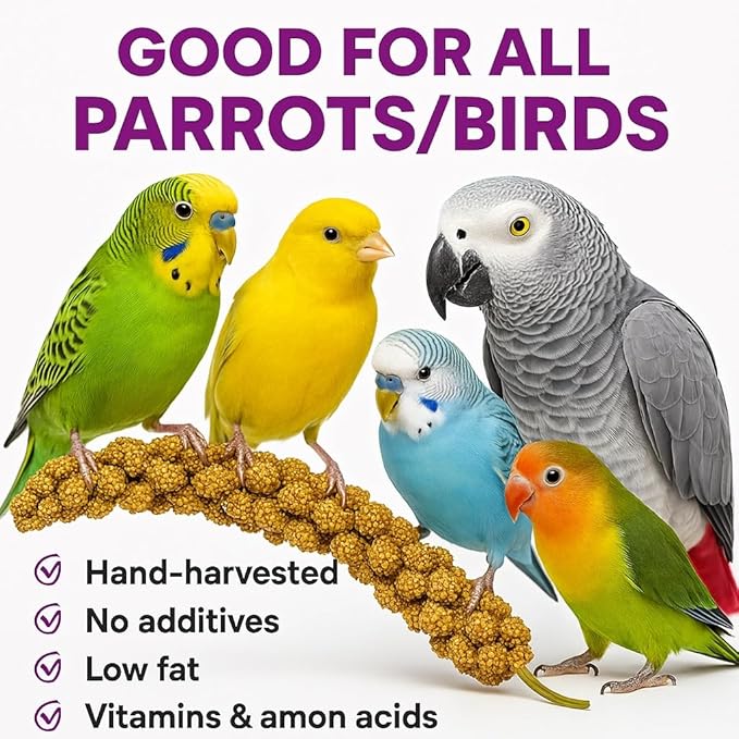 Birds LOVE 2lbs French Kissed Spray Millet for Birds – Harvested in France & Packed in The USA – 100% Natural & Sun‑Dried Millet Spray for Parakeets, Cockatiels, Conures, Parrots & Budgies