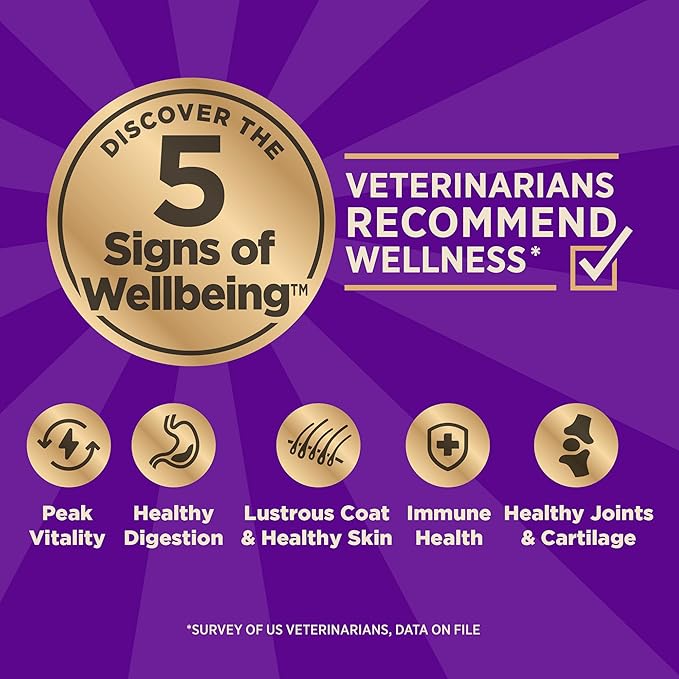 Wellness CORE Healthy Weight Adult Dry Dog Food, Grain Free Kibble, Natural, High Protein, Turkey and Chicken Recipe, 4 lb Bag