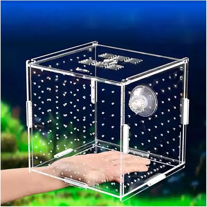 Transparent Acrylic Aquarium Isolation Box - Single & Double Grid Fry Breeding Tank for Fish Hatcheries(Hook)