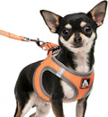 Dog Harness Medium Sized Dogs, Puppy Harness and Leash Set for Training, Running, Walking, Suitable for Small and Medium Dog Vest, Orange, L