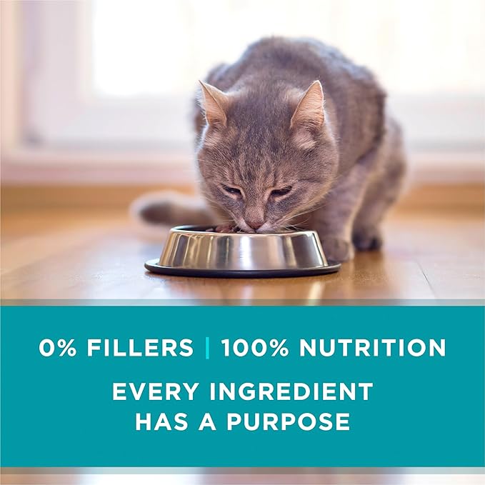 Purina ONE Natural, High Protein, Grain Free Wet Cat Food Pate, Turkey Recipe - (Pack of 24) 3 oz. Pull-Top Cans