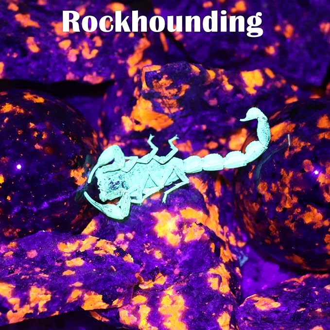 S5 UV Flashlight, Black Light Flashlight with 5 LEDs, for UV Resin Curing, Rockhounding, Pet Urine Detecting, Scorpion Hunting (385NM)