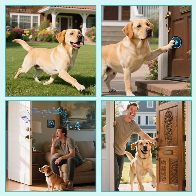 Dog Door Bell for Potty Training, Smart Wireless Doggie Doorbell to Go Outside, 1000 Feet Long Range with IP65 Waterproof Super-Light Touch Button, 60 Melodies & Adjustable Volume (1 Button)