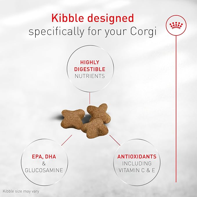 Royal Canin Corgi Puppy Dry Dog Food, Kibble for Corgis 2 to 12 Months, Supports Digestion and Bone and Joint Support 6 lb Bag