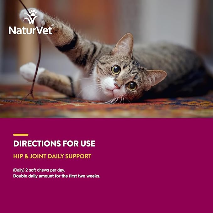 NaturVet – Hip & Joint for Cats Plus Omegas – 60 Soft Chews – Help Supports Healthy Hip & Joint Function – Enhanced with Antioxidants, Omega-3 & 6 Fatty Acids – 30 Day Supply