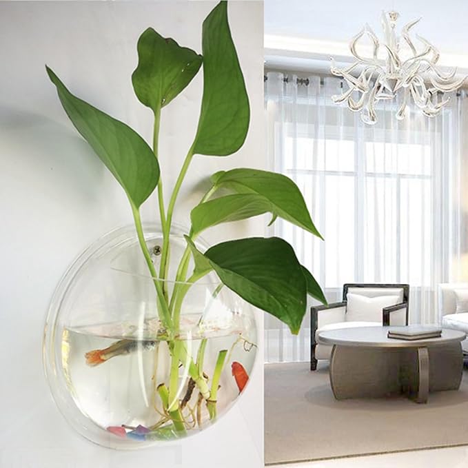 Wall Mounted Fish Bowl Hanging Betta for Aquarium Wall Decor Plant Fish Bubble Bowls Clear Acrylic 5.9" 7.7" 10.2"