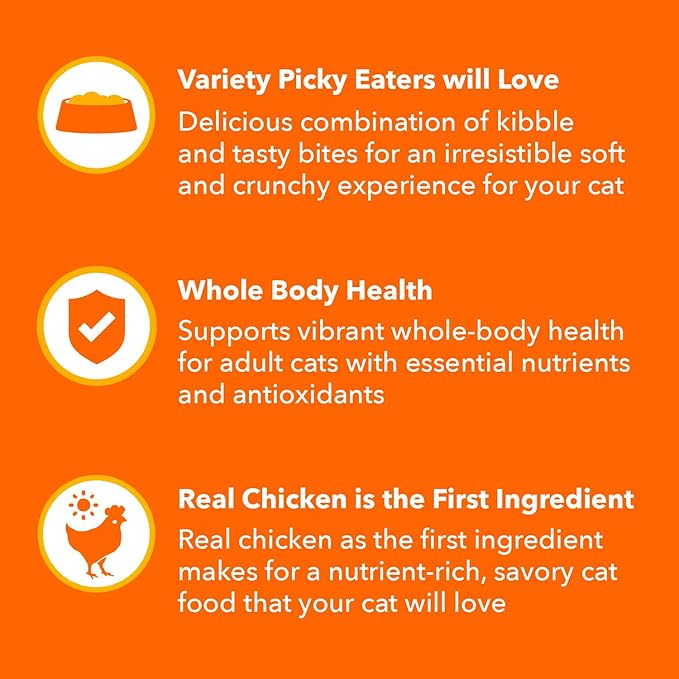 IAMS Healthy Enjoyment Dry Cat Food Chicken & Salmon Recipe, Cat Food Dry Recipe, 6 lb. Bag