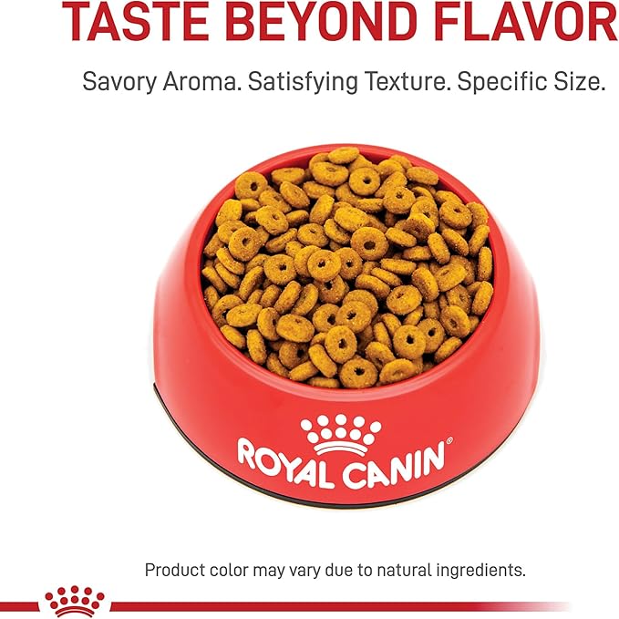 Royal Canin Feline Care Nutrition Appetite Control Care Adult Dry Cat Food, 14 lb Bag