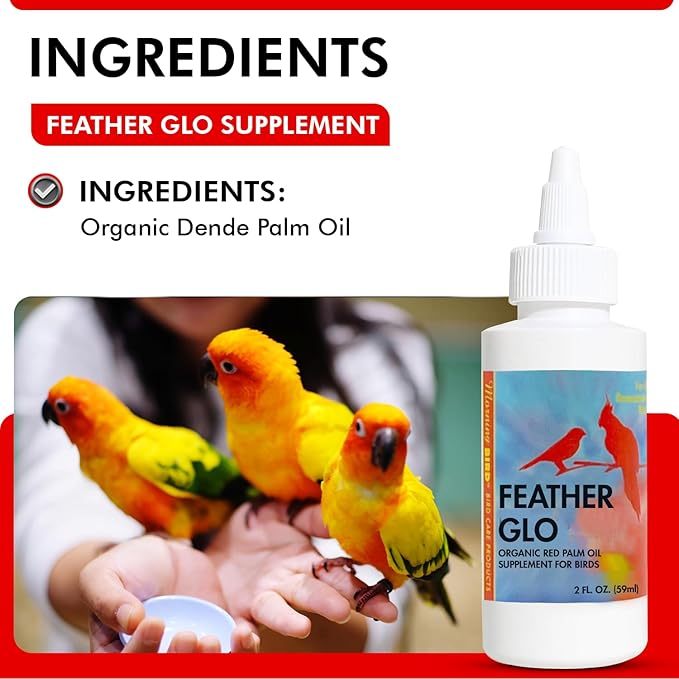 Morning Bird Feather Glo 2 oz – Cold Pressed Red Palm Oil - Natural Vitamin A & E Supplement for Birds – Supports Feather Shine, Skin Health & Immunity – Vitamin & Energy Boost for All Bird Types