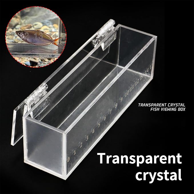 Acrylic Fish Isolation Box for Small Breeding and Observing Clear Breeding Tanks for Home Use Professional Fish Research Tool