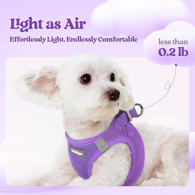 rabbitgoo Dog Harness Small Medium Sized and Leash Set, Step in Soft Light Puppy Vest, Breathable Mesh Pet Harness, Reflective for Safe Outdoor Walking, Purple L