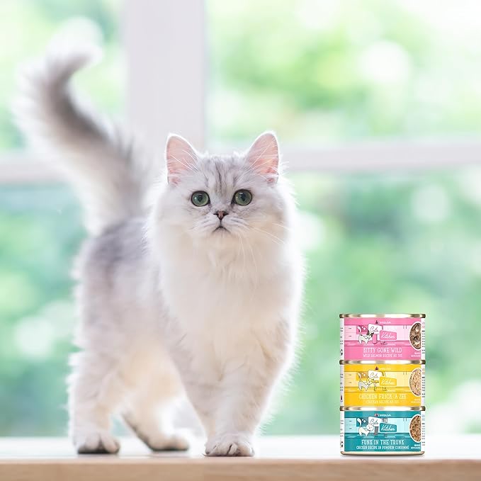 Weruva Cats in The Kitchen, The Coolsville Catch! Variety Pack, 6oz Can (Pack of 12)