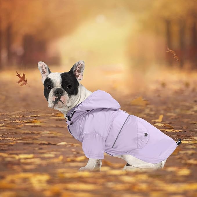 Morezi Dog Zip Up Raincoat with Reflective Buttons, Rain/Water Resistant, Adjustable Drawstring, Removable Hood, Raincoats with Legs 8lbs to 80lbs Available - Purple - XS