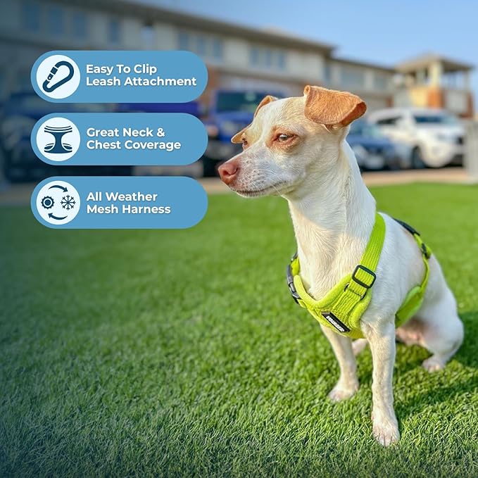 Best Pet Supplies Voyager Step-in Air Harness - All Weather Mesh, Reflective, No Pull Harness for Dogs, Cats - Secure with Hook & Loop Fastener, Buckle, Double D-Rings - Lime Green, M